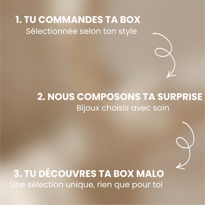 Box Malo : 2 Bijoux mensuels